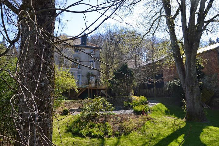 B&B Les Tilleuls Vielsalm Exterior photo